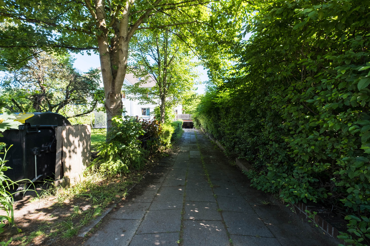 Auffahrt zur Garage und zum Haus