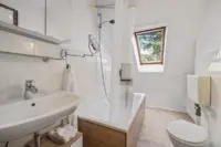 Bad DG